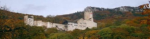 AZP 2005 Schloss Neu-Bechburg 510