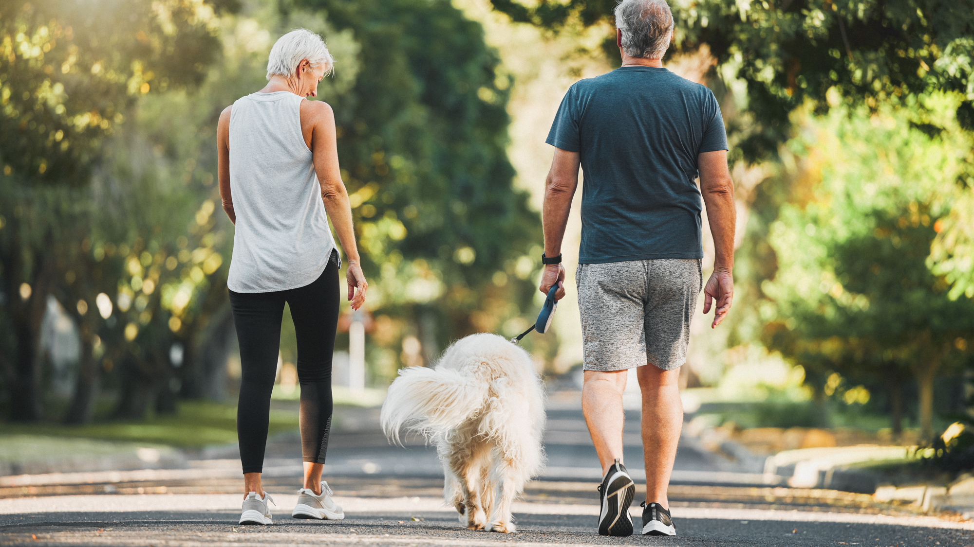 Eine Frau und ein Mann spazieren mit einem Hund an der Leine.