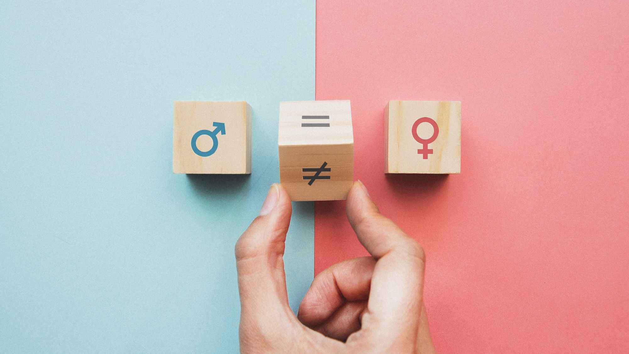 Frau gleich oder ungleich Mann