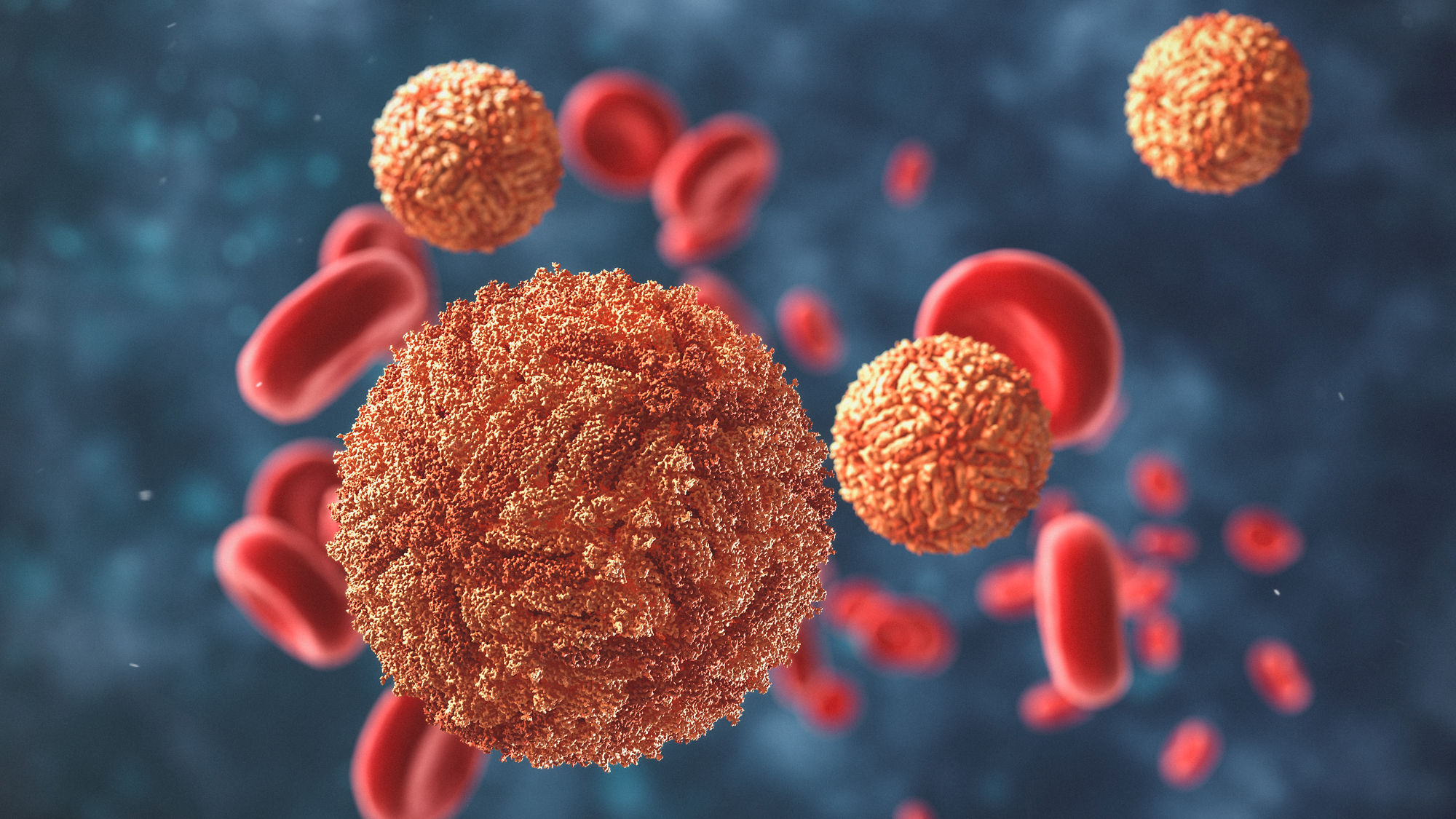 Zoomaufnahme eines Virus