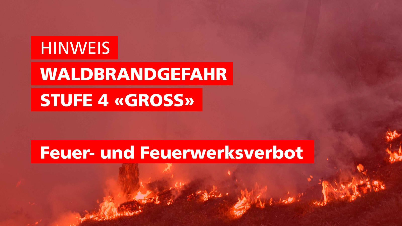 Waldbrandgefahr Stufe 4 «gross»