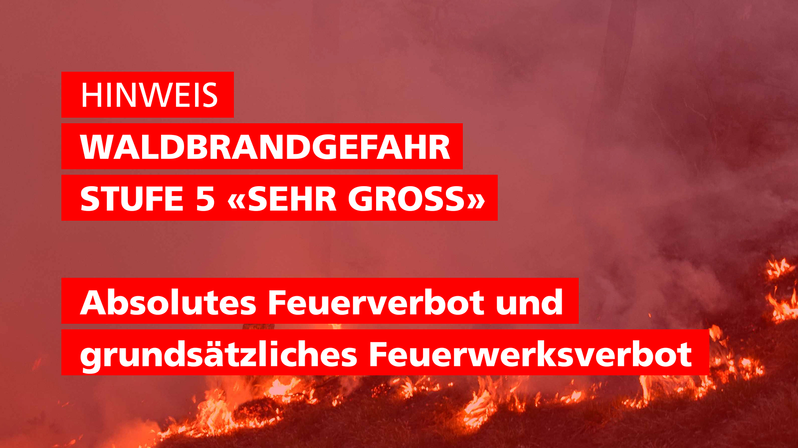 Waldbrandgefahr Stufe 5 «sehr gross»