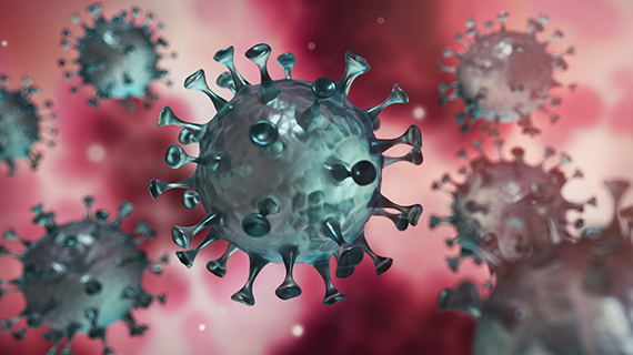 Coronavirus Ein 3D Modell des Coronavirus im Innern des Körpers.