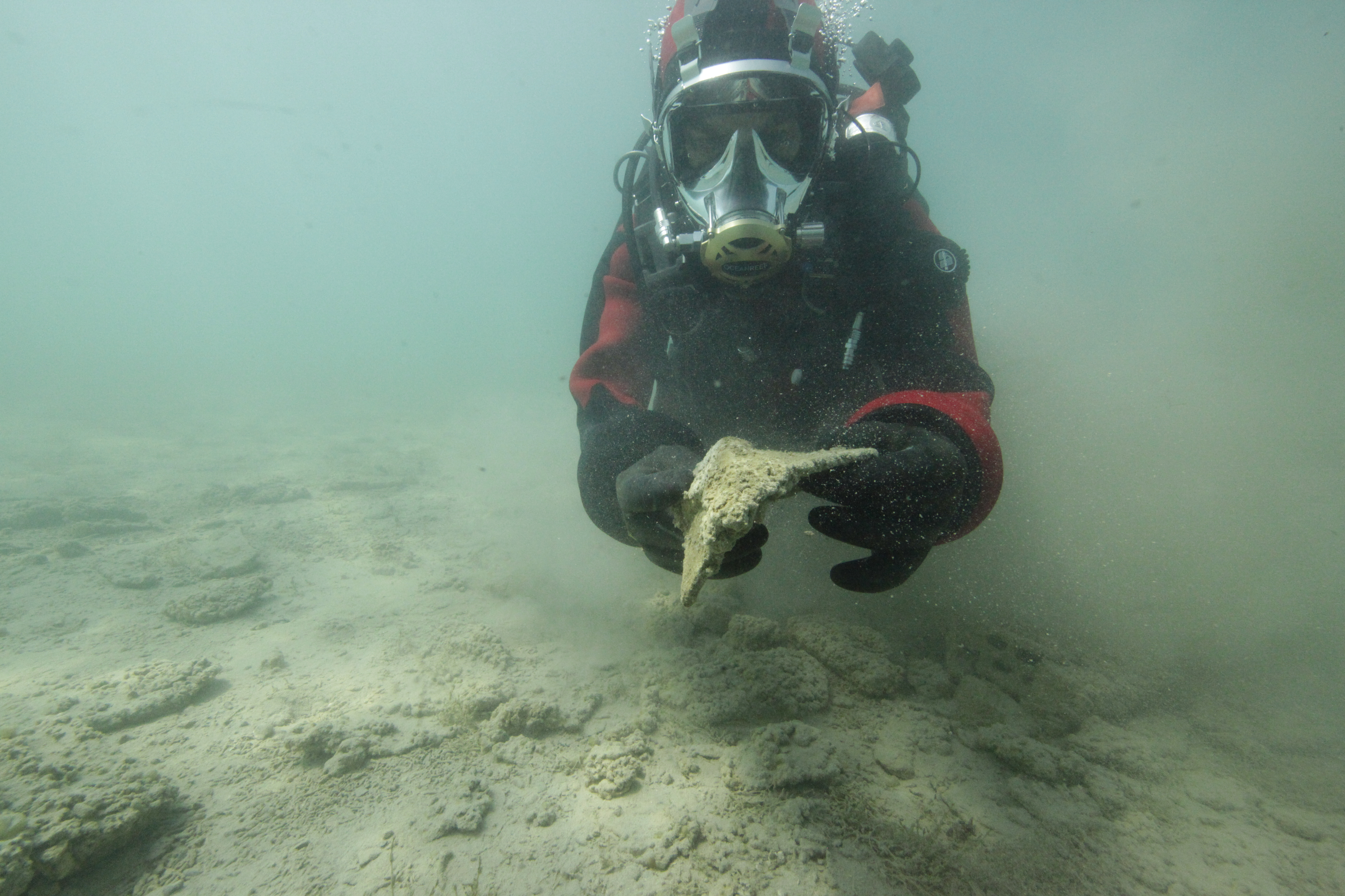 Taucher unter Wasser mit einem archäologischen Fundstück in der Hand