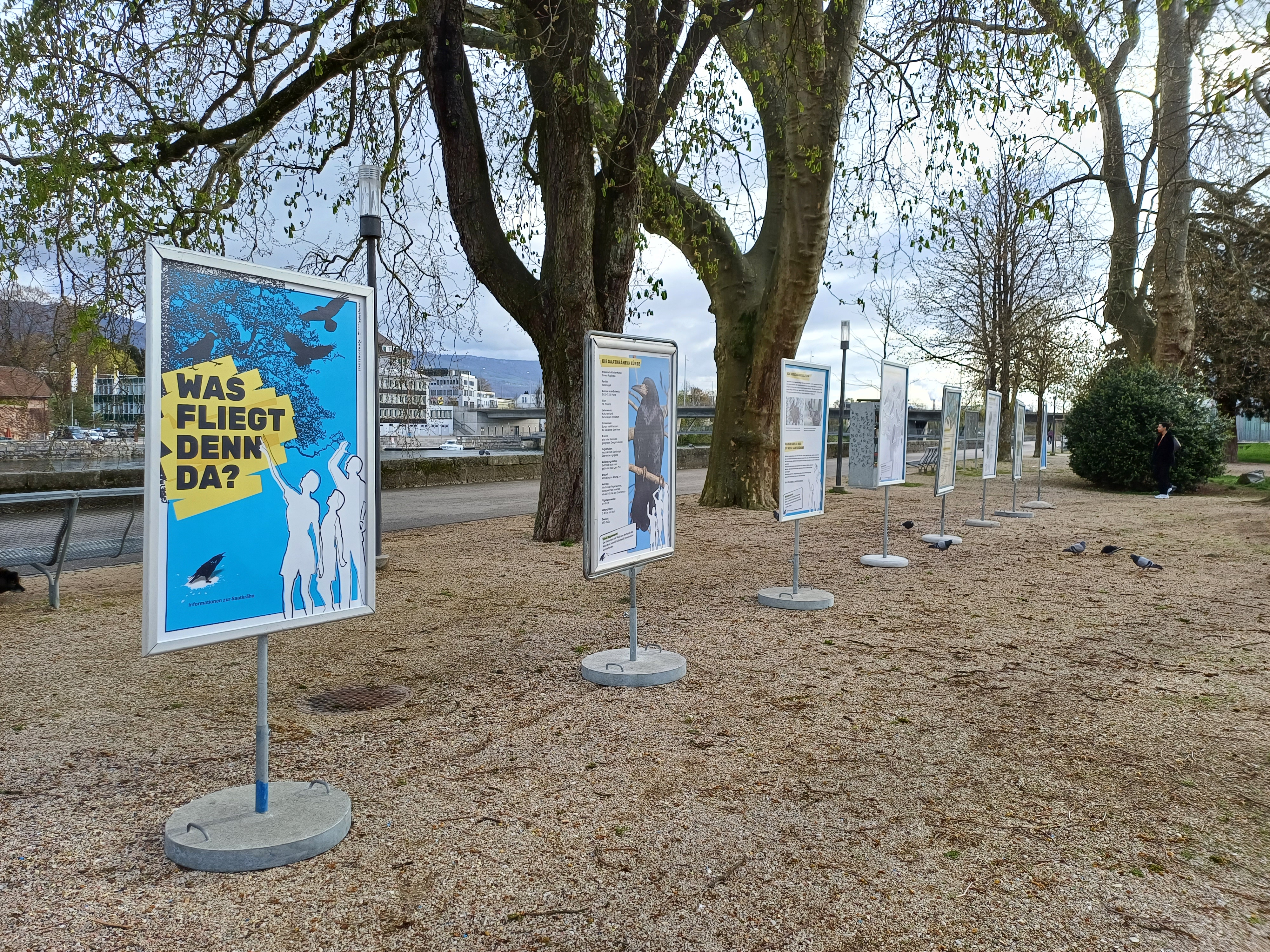 Plakatständer weisen auf Sensibilisierungskampagne für Saatkrähen hin