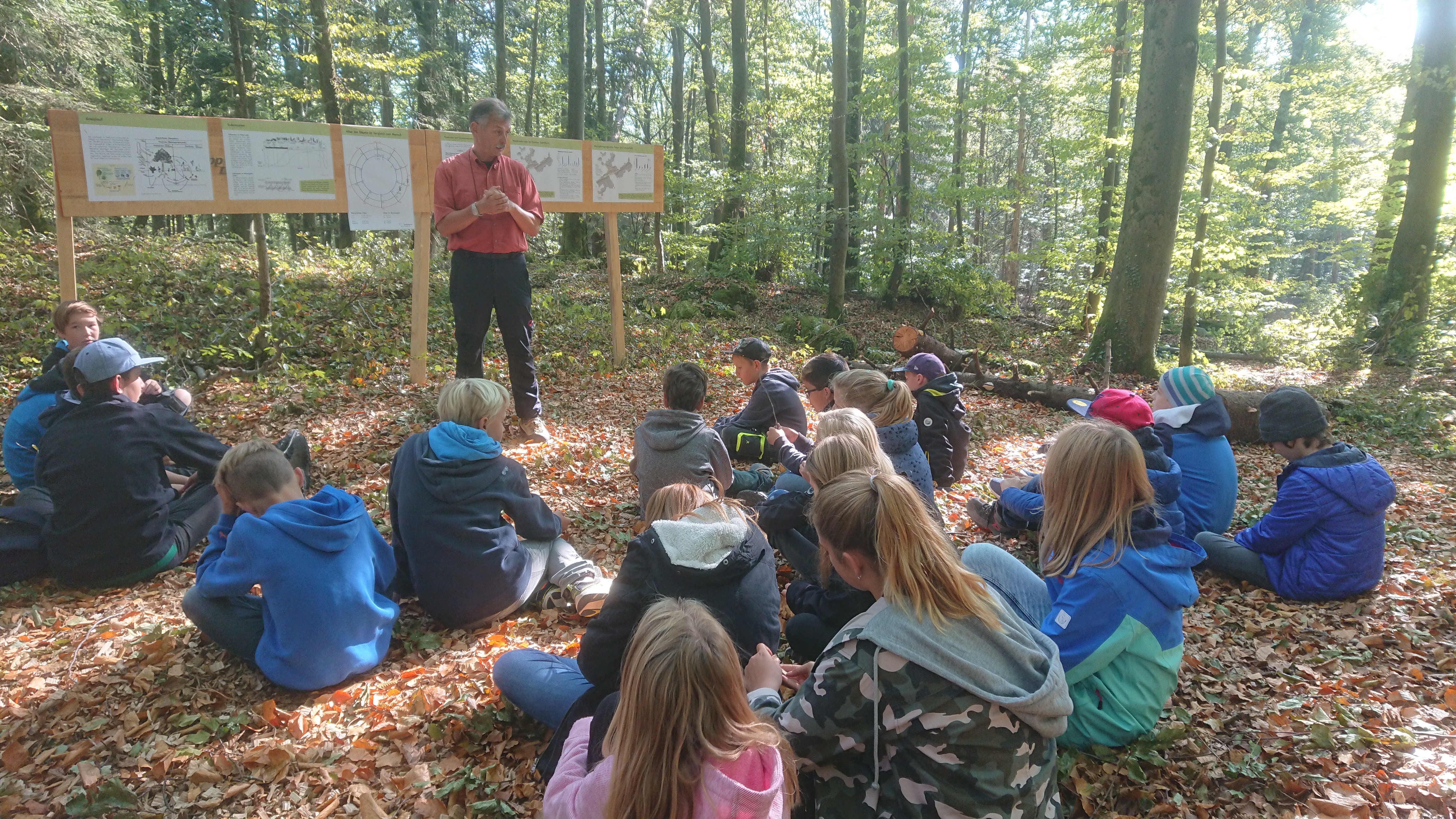 Symbolbild "Tag des Waldes"