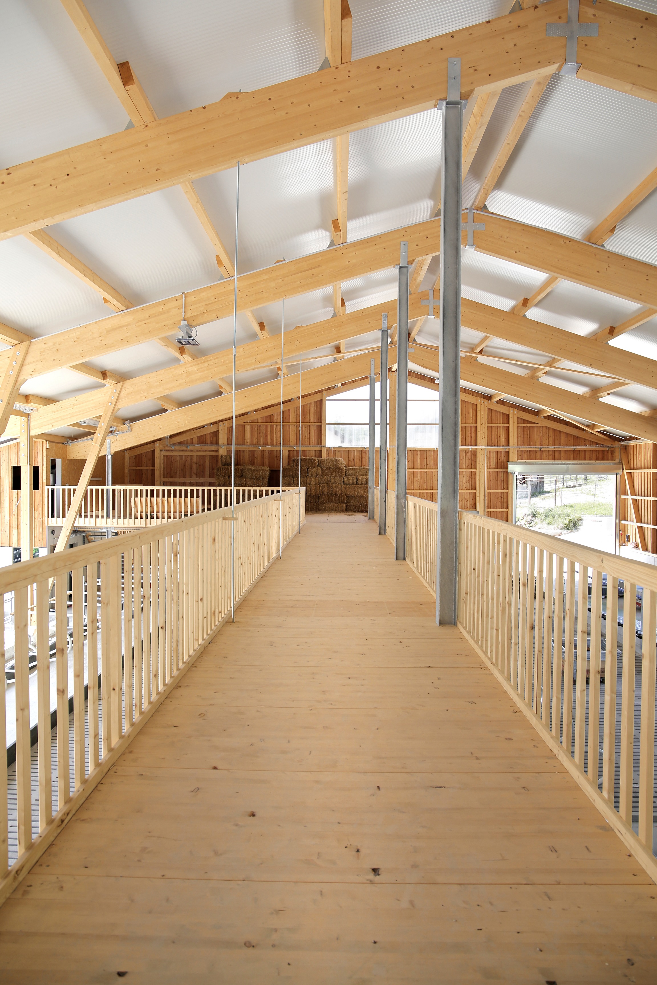 Wallierhof Laufstall Galerie Besucher