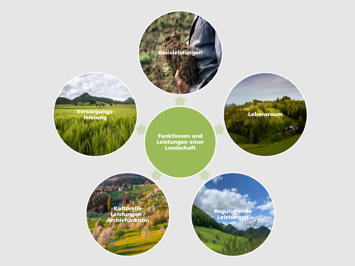 Schematische Darstellung der Landschaftsfunktionen. Um den mittleren Kreis, welcher die Anschrift "Funktionen und Leistungen einer Landschaft" trägt, sind die verschiedenen Leistungen angeordnet. Die Leistungen sind in fünf Bereiche eingeteilt.   