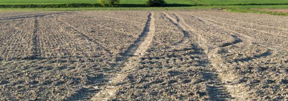 Frisch bearbeiteter Acker mit Traktorspuren