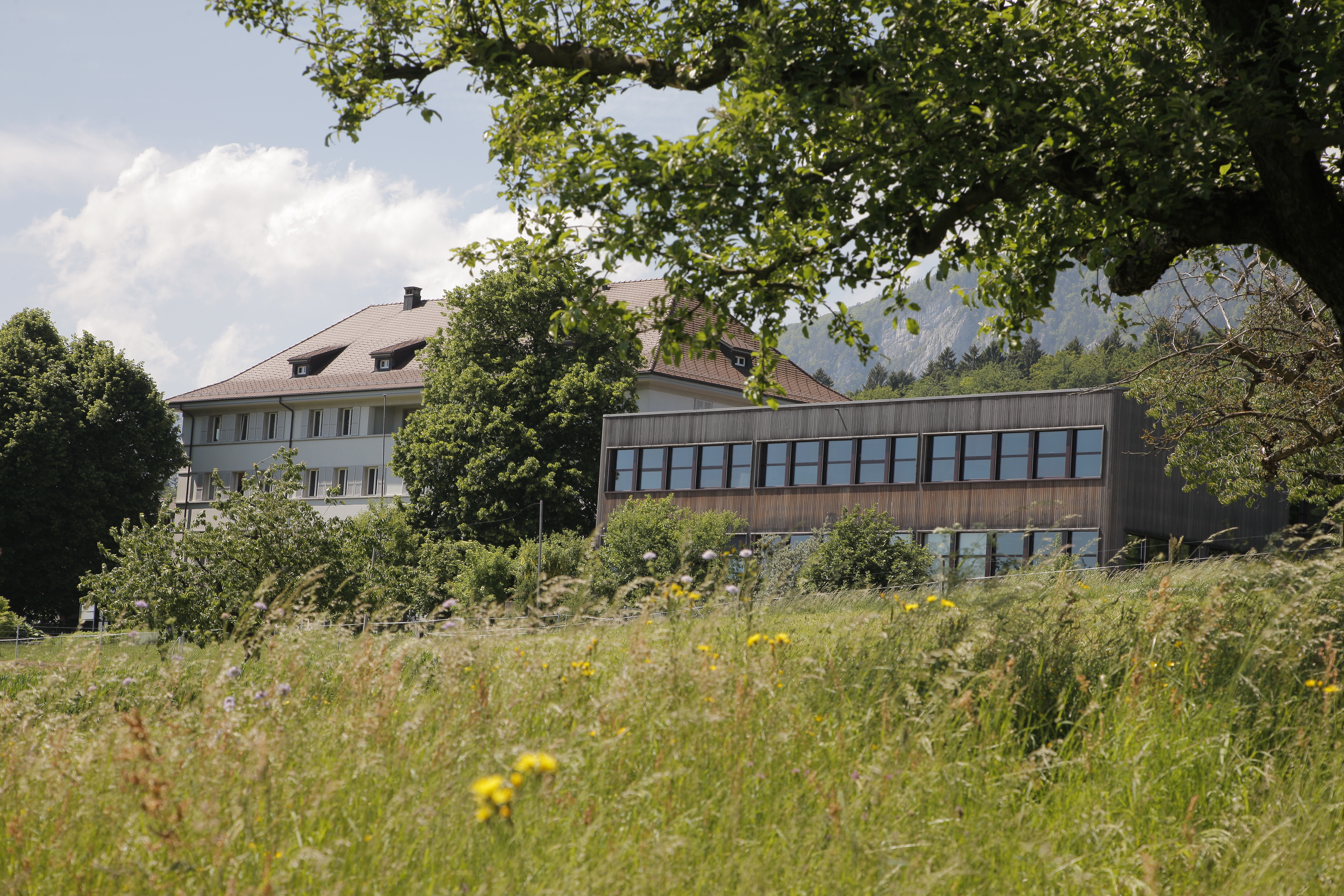 Wallierhof im Sommer