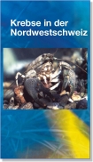 Flyer Krebse in der Nordwestschweiz