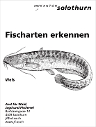 Faltblatt