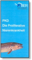 FIBER-Broschüre