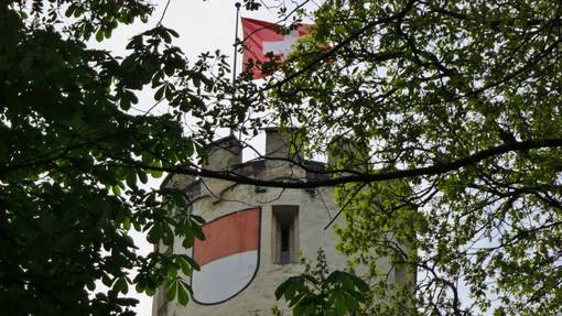 Oensingen Bechburg