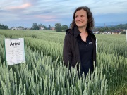 Barbara Graf im Weizen